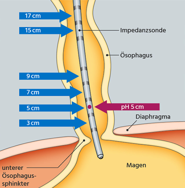 Facharzt für Chirurgie-Dr. Gottfried Steiner